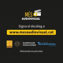 Per un audiovisual en català