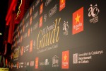 IX Premios Gaudí 