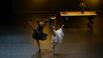 Teatre-Auditori de Sant Cugat MAIG 2018 · Malandain Ballet Biarritz 'La Bella i la Bèstia'
