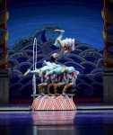 11è Festival Internacional del Circ Elefant d'Or de Girona The Acrobatic Troupe of Dezhou City · Cercles ·  Xina